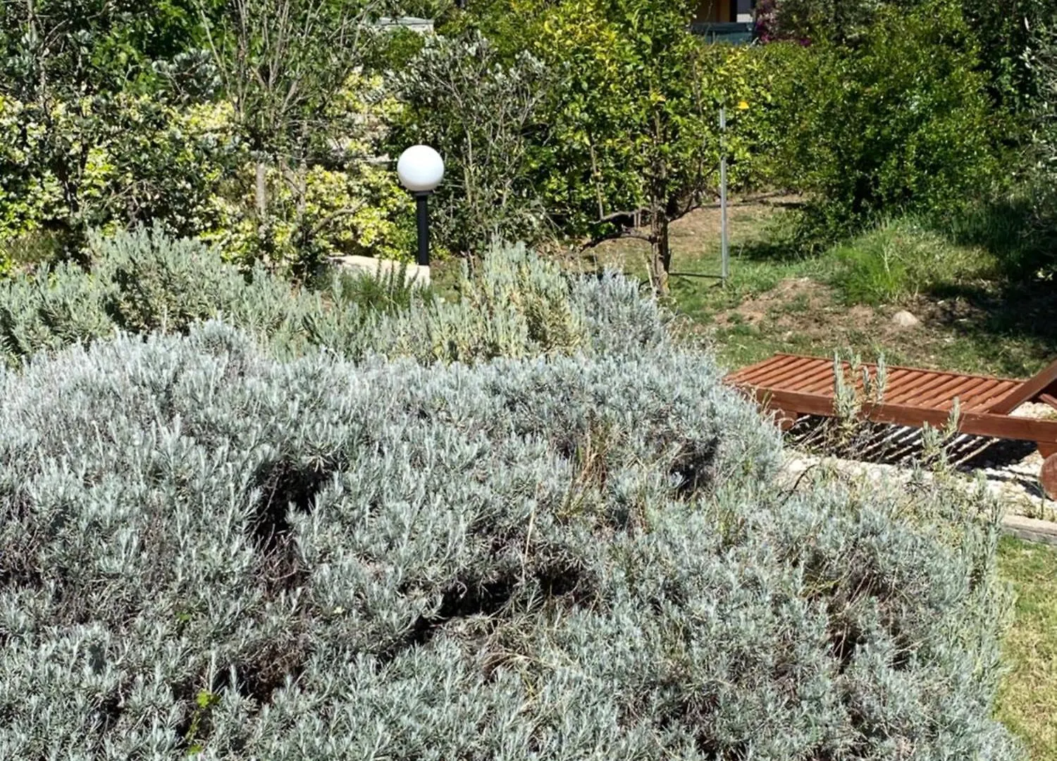Lecallebed-Breakfast Chia 0*,